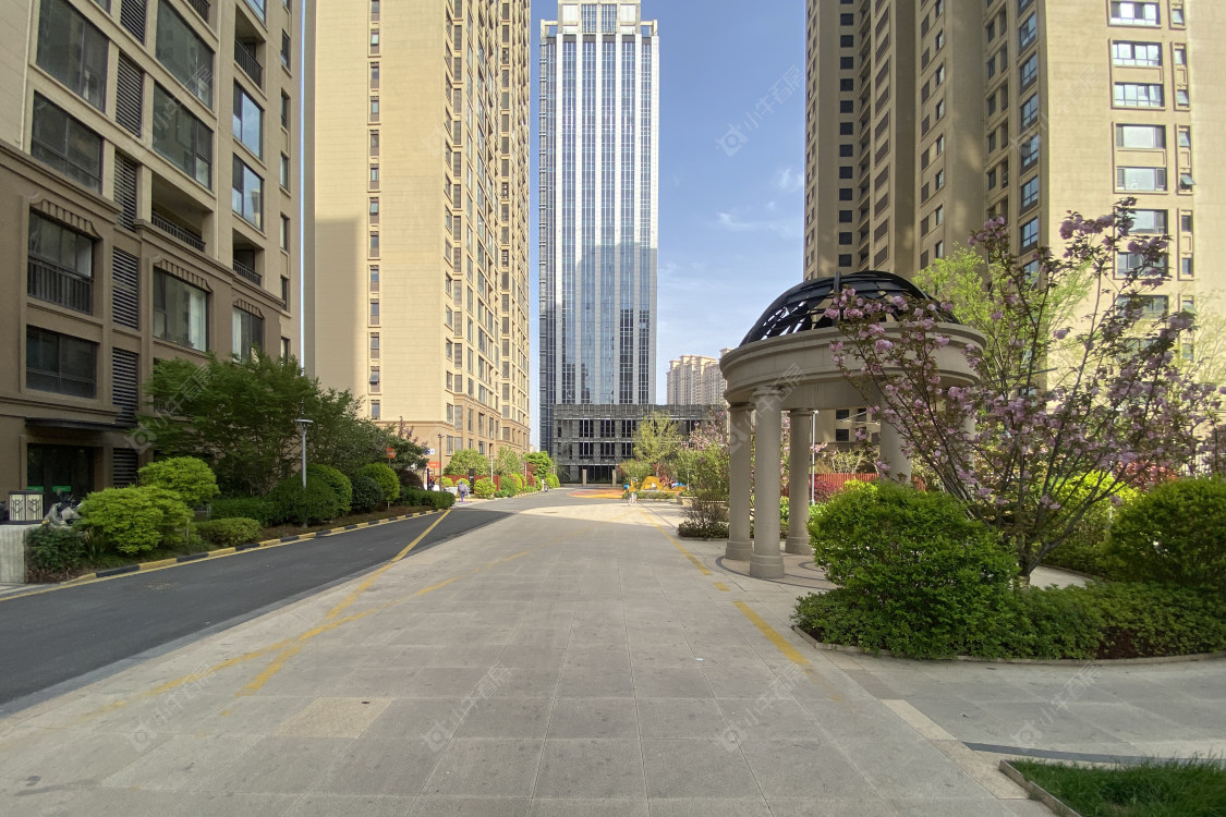 常州新城黑牡丹·世纪之光在售新楼盘实景图