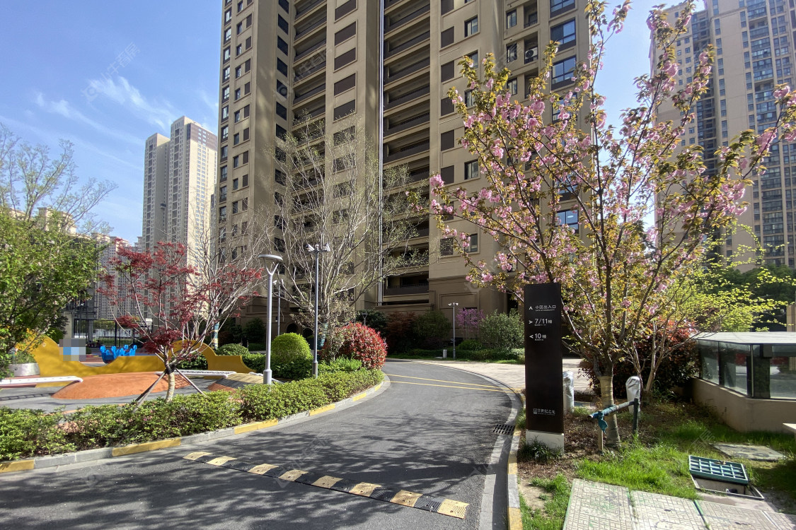 常州新城黑牡丹·世纪之光在售新楼盘实景图