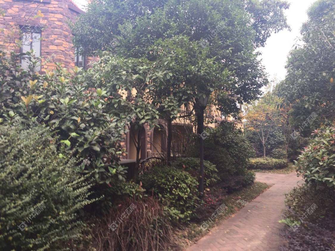 常州长宇棕榈湾别墅区小区_长宇棕榈湾别墅区小区实景图
