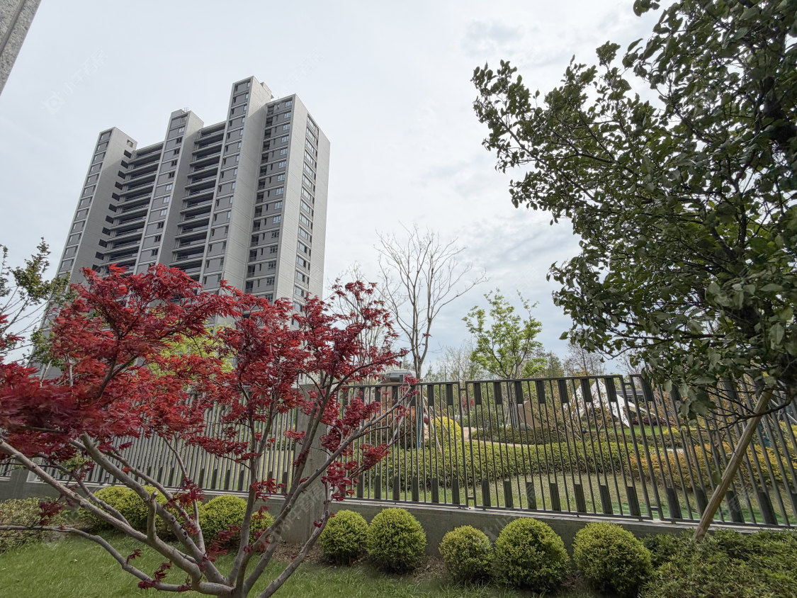 常州绿城江南里江南潮鸣在售新楼盘实景图